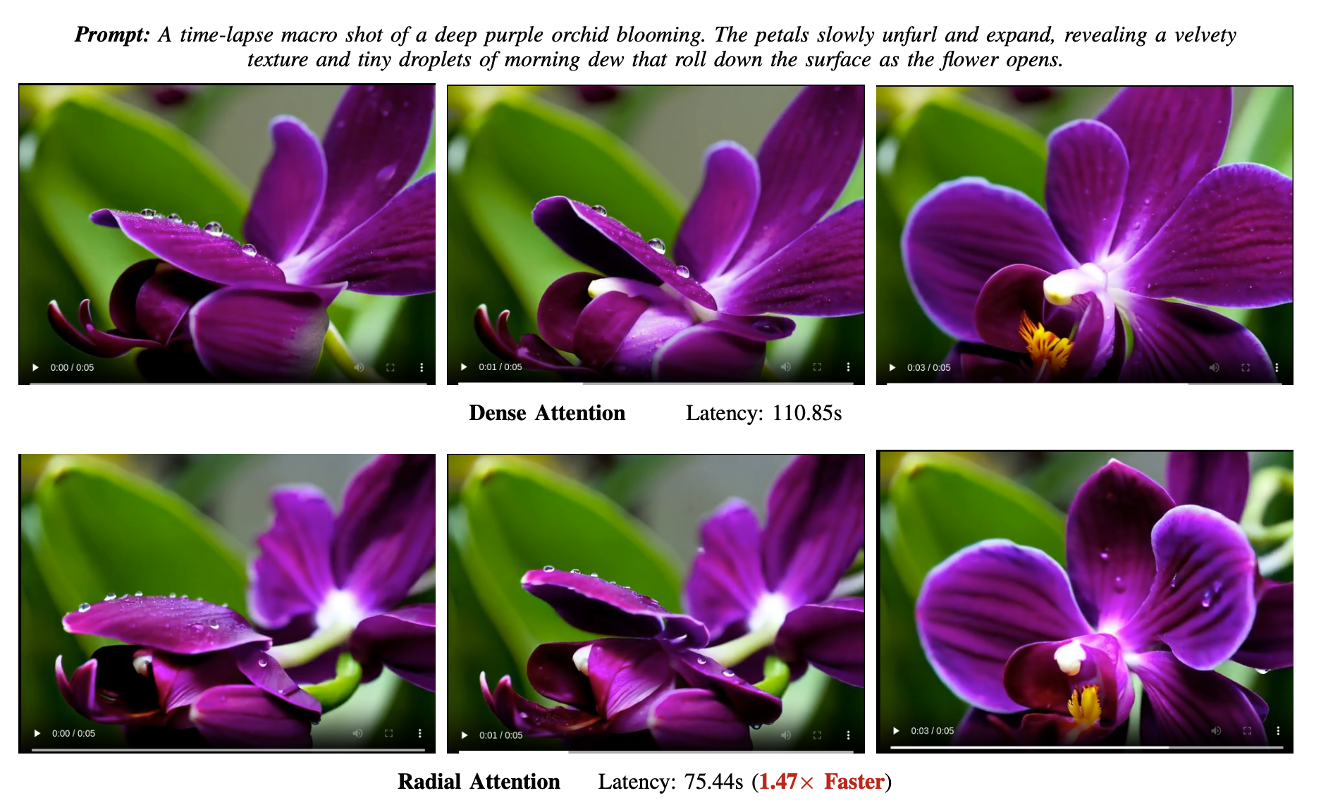 Orchid-generation comparison: Radial Attention preserves the visual result while generating 1.47× faster.